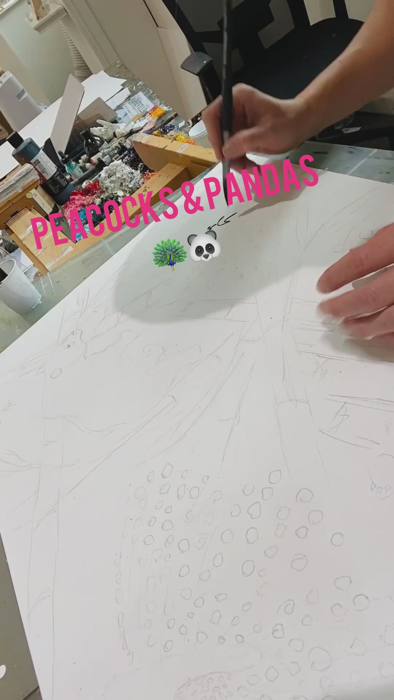 Pandas & Peacocks | Racket Sport